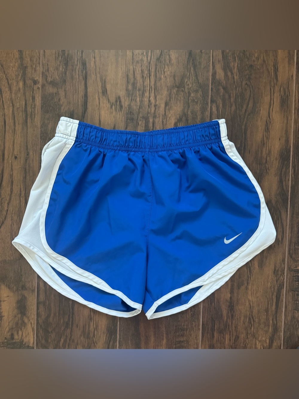 Nike Blue and White Athletic Running Shorts